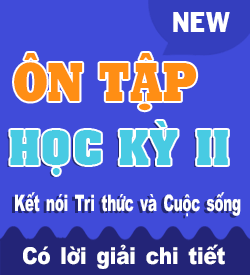 Ôn tập Học kỳ II (KNTT)